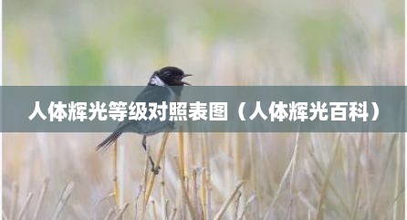 人体辉光等级对照表图（人体辉光百科）