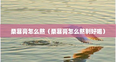 桑葚膏怎么熬（桑葚膏怎么熬制好喝）
