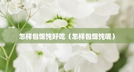 怎样包馄饨好吃（怎样包馄饨呢）