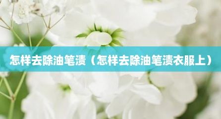 怎样去除油笔渍（怎样去除油笔渍衣服上）