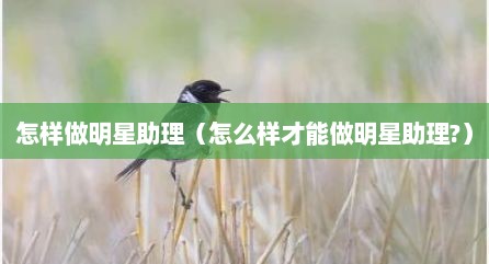 怎样做明星助理（怎么样才能做明星助理?）