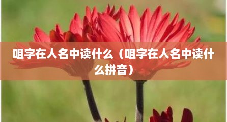 咀字在人名中读什么（咀字在人名中读什么拼音）