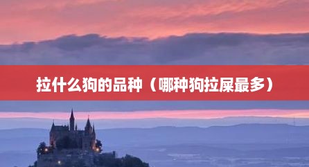 拉什么狗的品种（哪种狗拉屎最多）