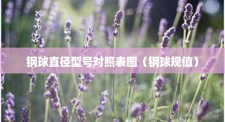 钢球直径型号对照表图（钢球规值）