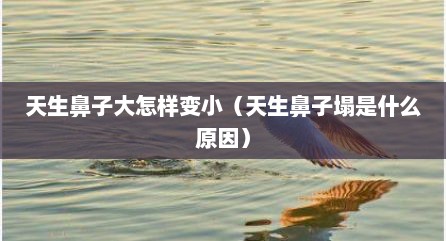 天生鼻子大怎样变小（天生鼻子塌是什么原因）