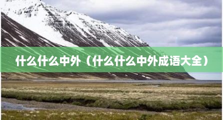什么什么中外（什么什么中外成语大全）