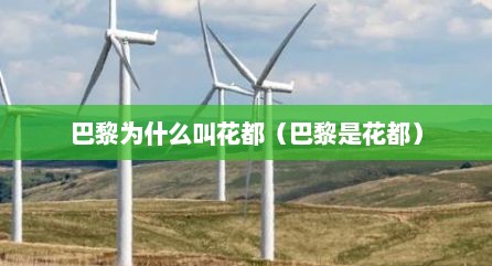 巴黎为什么叫花都（巴黎是花都）