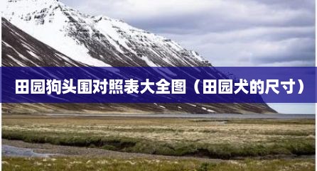 田园狗头围对照表大全图（田园犬的尺寸）