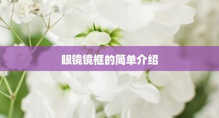 眼镜镜框的简单介绍