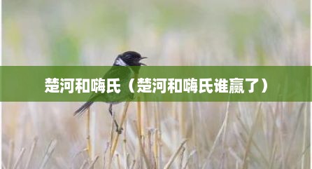 楚河和嗨氏（楚河和嗨氏谁赢了）
