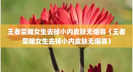 王者荣耀女生去掉小内皮肤无烟雾（王者荣耀女生去掉小内皮肤无烟雾）