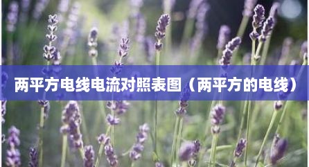 两平方电线电流对照表图（两平方的电线）