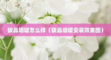 碳晶墙暖怎么样（碳晶墙暖安装效果图）