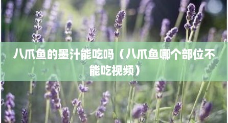 八爪鱼的墨汁能吃吗（八爪鱼哪个部位不能吃视频）