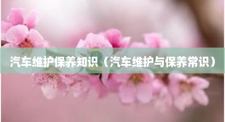 汽车维护保养知识（汽车维护与保养常识）