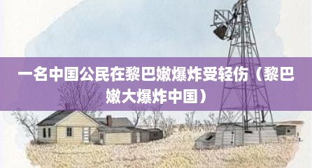 一名中国公民在黎巴嫩爆炸受轻伤（黎巴嫩大爆炸中国）