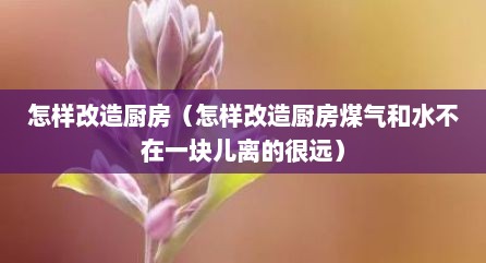 怎样改造厨房（怎样改造厨房煤气和水不在一块儿离的很远）