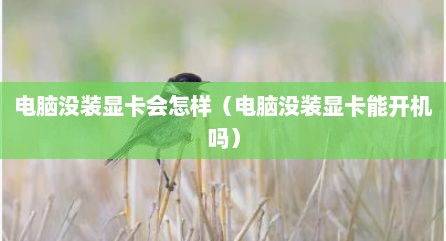 电脑没装显卡会怎样（电脑没装显卡能开机吗）