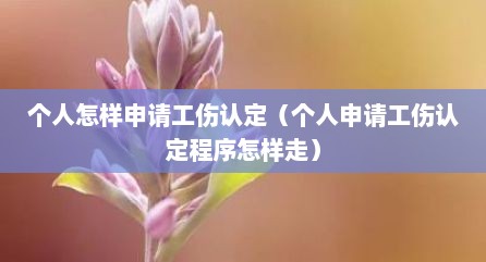 个人怎样申请工伤认定（个人申请工伤认定程序怎样走）
