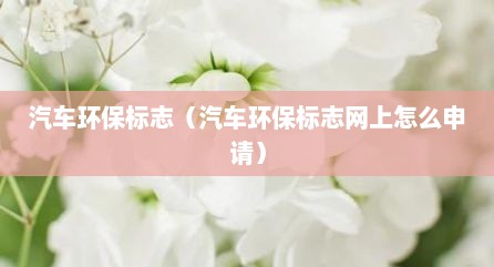 汽车环保标志（汽车环保标志网上怎么申请）