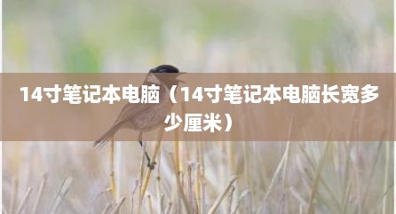 14寸笔记本电脑（14寸笔记本电脑长宽多少厘米）