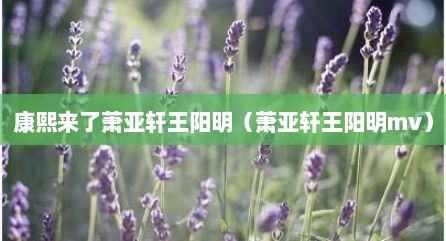 康熙来了萧亚轩王阳明（萧亚轩王阳明mv）