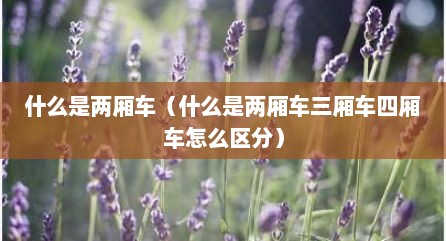 什么是两厢车（什么是两厢车三厢车四厢车怎么区分）