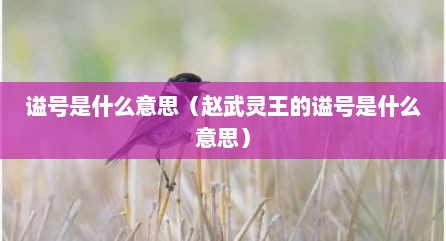 谥号是什么意思（赵武灵王的谥号是什么意思）