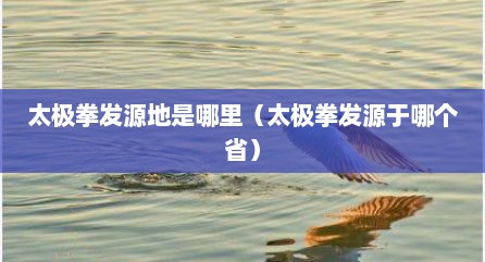 太极拳发源地是哪里（太极拳发源于哪个省）