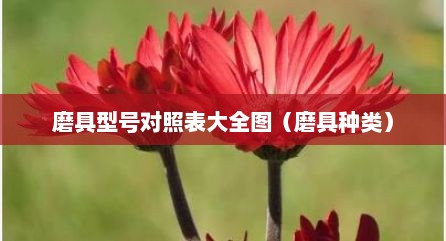 磨具型号对照表大全图（磨具种类）