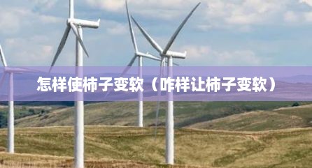 怎样使柿子变软（咋样让柿子变软）