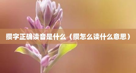 攒字正确读音是什么（攒怎么读什么意思）