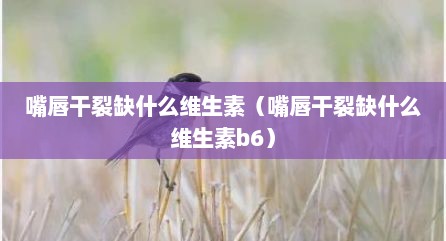 嘴唇干裂缺什么维生素（嘴唇干裂缺什么维生素b6）