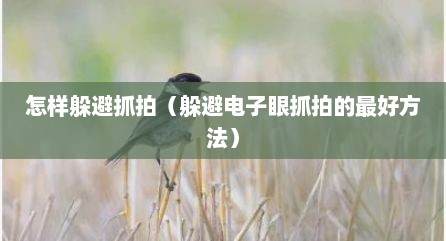 怎样躲避抓拍（躲避电子眼抓拍的最好方法）
