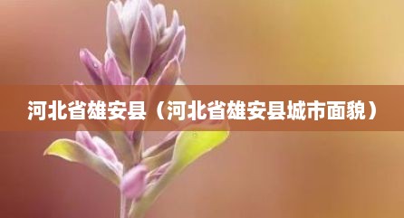河北省雄安县（河北省雄安县城市面貌）