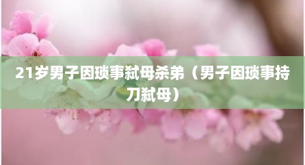 21岁男子因琐事弑母杀弟（男子因琐事持刀弑母）