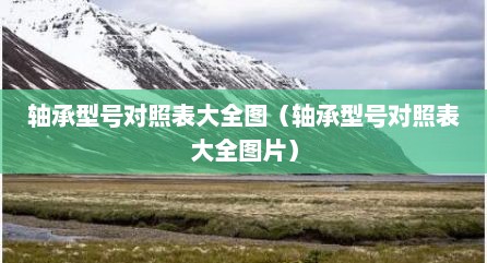 轴承型号对照表大全图（轴承型号对照表大全图片）