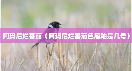 阿玛尼烂番茄（阿玛尼烂番茄色唇釉是几号）