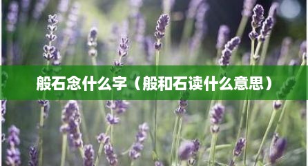 般石念什么字（般和石读什么意思）