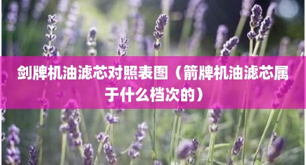 剑牌机油滤芯对照表图（箭牌机油滤芯属于什么档次的）