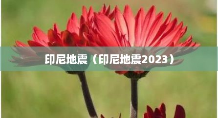 印尼地震（印尼地震2023）