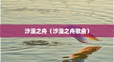 沙漠之舟（沙漠之舟歌曲）
