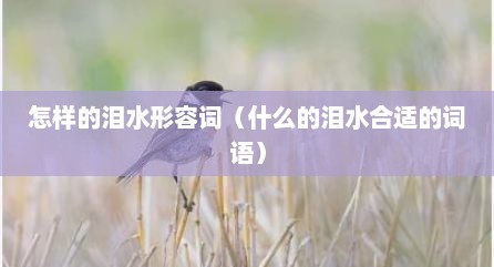 怎样的泪水形容词（什么的泪水合适的词语）