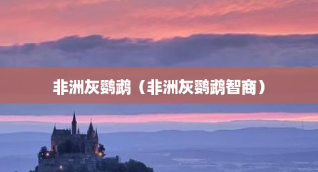 非洲灰鹦鹉（非洲灰鹦鹉智商）