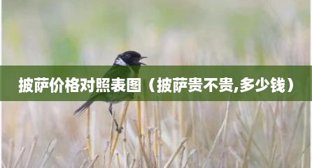 披萨价格对照表图（披萨贵不贵,多少钱）