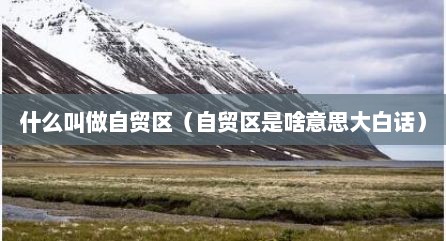 什么叫做自贸区（自贸区是啥意思大白话）