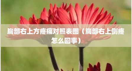胸部右上方疼痛对照表图（胸部右上侧疼怎么回事）