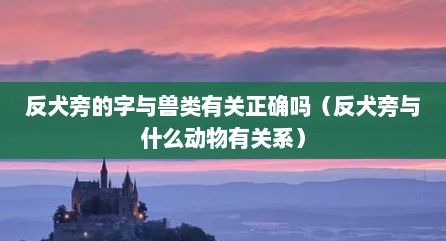反犬旁的字与兽类有关正确吗（反犬旁与什么动物有关系）
