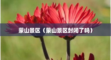 蒙山景区（蒙山景区封闭了吗）