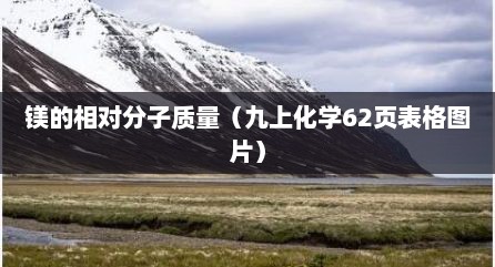 镁的相对分子质量（九上化学62页表格图片）